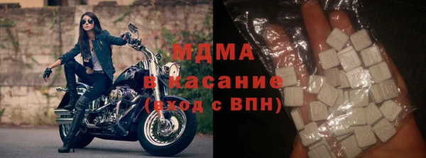 индика Арсеньев