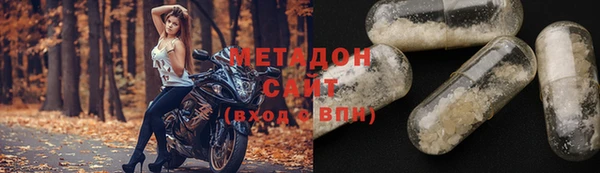 индика Арсеньев