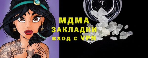 стаф Аркадак