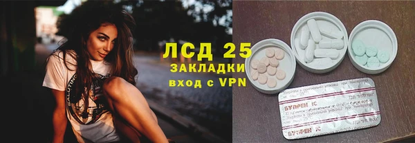 стаф Аркадак