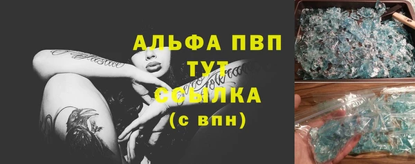 стаф Аркадак