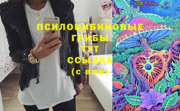 стаф Аркадак