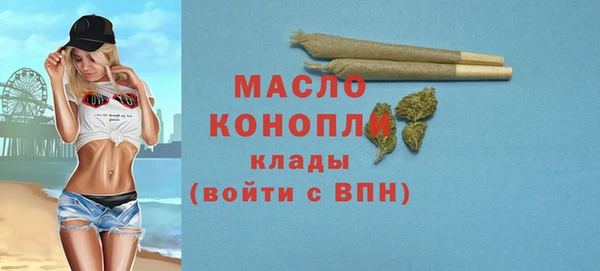 индика Арсеньев