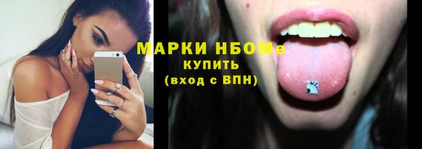 стаф Аркадак