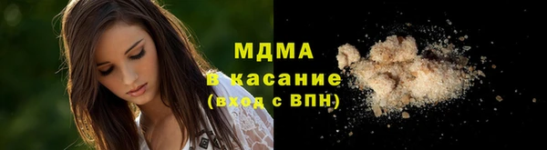 стаф Аркадак