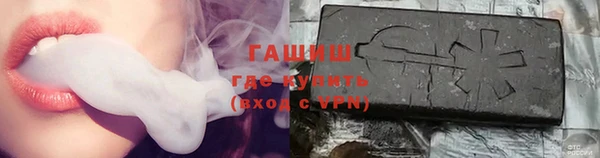 индика Арсеньев