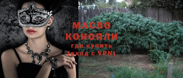 индика Арсеньев