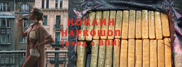 индика Арсеньев
