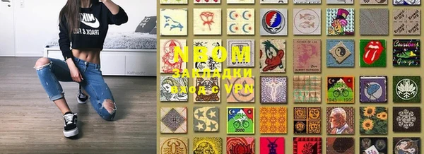 стаф Аркадак