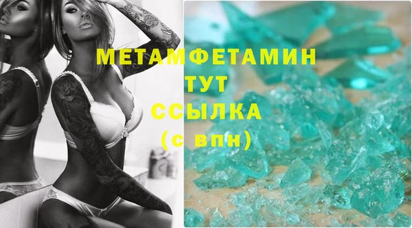 стаф Аркадак