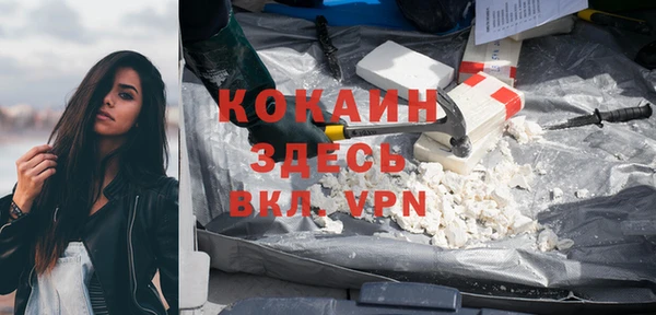 индика Арсеньев