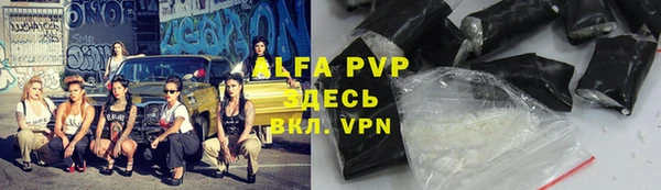 индика Арсеньев