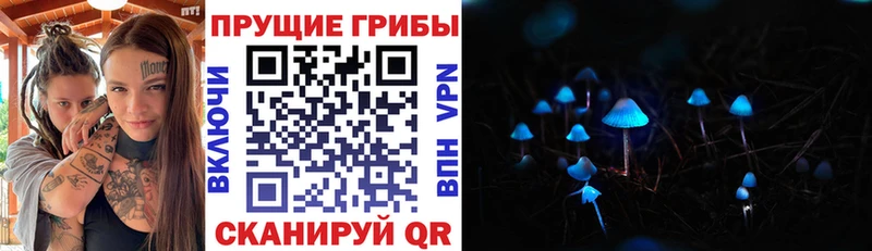 Галлюциногенные грибы ЛСД  кракен маркетплейс  Баксан 